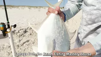 #1 Beach Fishing Bait Hack That Will Catch More Fish