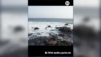 ¡Sol, arena y Yali en bikini!: "La vida es un regalo", nos dice la actriz desde la playa