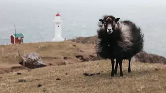 Alone in the Faroe Islands || DJI Mini 3 Pro Travel Film