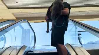 My Pitbull Dog Riding An Escalator For The First Time So Funny!!