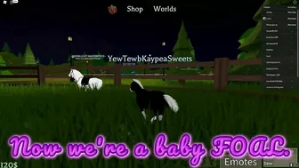 KaypeaSweets' Pony Paradise in Roblox!