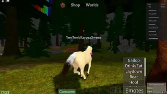 KaypeaSweets' Pony Paradise in Roblox!