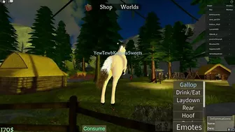 KaypeaSweets' Pony Paradise in Roblox!