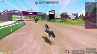 KaypeaSweets' Pony Paradise in Roblox!