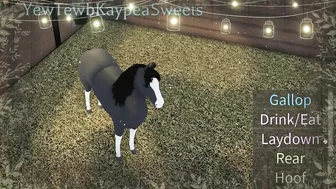 KaypeaSweets' Pony Paradise in Roblox!