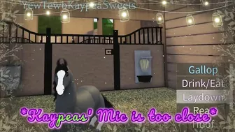 KaypeaSweets' Pony Paradise in Roblox!