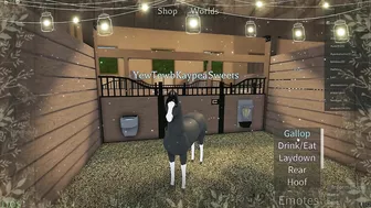 KaypeaSweets' Pony Paradise in Roblox!