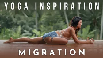 Yoga Inspiration: Migration | Meghan Currie Yoga