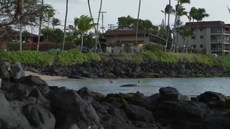 Maui Hawaii - Stop Dreaming! S-Turns Pohaku Beach Park