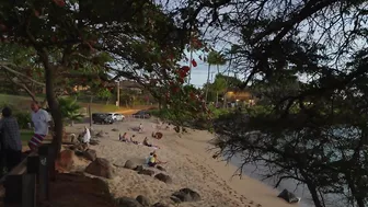 Maui Hawaii - Stop Dreaming! S-Turns Pohaku Beach Park