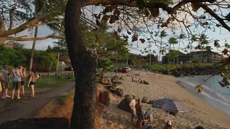 Maui Hawaii - Stop Dreaming! S-Turns Pohaku Beach Park