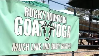 Goat yoga at the Goat Patch