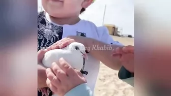 Mini Khabib Hasbulla - Güldüren videolar - Funny videos - ???????? - #11