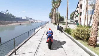 GTA 5 Epic Ragdolls/Spiderman Compilation EP.1 (Euphoria Physics, Fails, Jumps, Funny Moments)