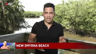 Deputies search for Miya Marcano in New Smyrna Beach swamp