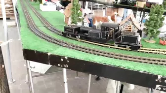 Two Live Steam Garratts (Roundhouse and Salem Steam Models)