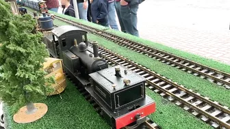 Two Live Steam Garratts (Roundhouse and Salem Steam Models)