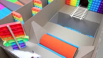 Hamster Pop It Maze