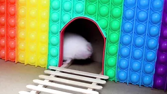 Hamster Pop It Maze