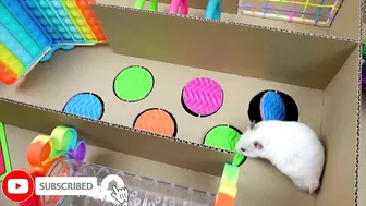 Hamster Pop It Maze