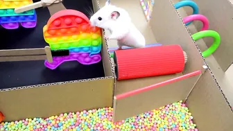 Hamster Pop It Maze