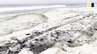 Major oil spill forces California beaches to close along US state’s southern coast