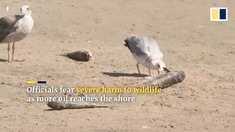 Major oil spill forces California beaches to close along US state’s southern coast