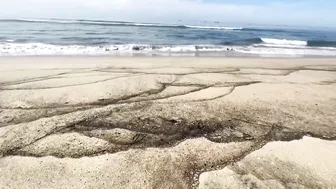 Authorities probe California beach oil spill