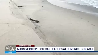 Huntington Beach Mayor provides update on massive oil spill