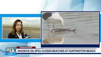 Huntington Beach Mayor provides update on massive oil spill