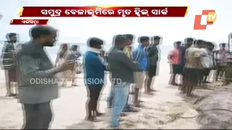 Body Of 20-Feet Long Shark Found At Siali Beach, Jagatsinghpur