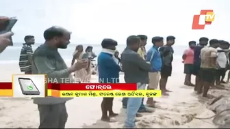 Body Of 20-Feet Long Shark Found At Siali Beach, Jagatsinghpur