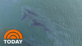 Massive Oil Spill Off California Coast Is Impacting Beaches, Wildlife