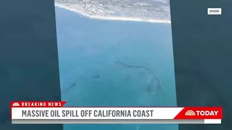 Massive Oil Spill Off California Coast Is Impacting Beaches, Wildlife