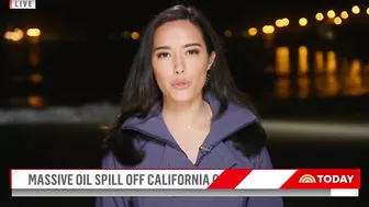 Massive Oil Spill Off California Coast Is Impacting Beaches, Wildlife