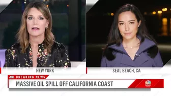 Massive Oil Spill Off California Coast Is Impacting Beaches, Wildlife