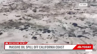 Massive Oil Spill Off California Coast Is Impacting Beaches, Wildlife