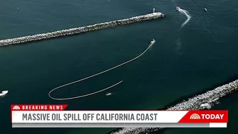 Massive Oil Spill Off California Coast Is Impacting Beaches, Wildlife