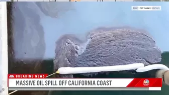 Massive Oil Spill Off California Coast Is Impacting Beaches, Wildlife