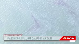 Massive Oil Spill Off California Coast Is Impacting Beaches, Wildlife