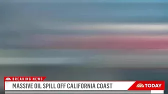 Massive Oil Spill Off California Coast Is Impacting Beaches, Wildlife