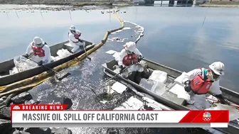 Massive Oil Spill Off California Coast Is Impacting Beaches, Wildlife