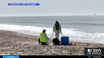 'Wildlife Is Dying': 126,000-Gallon Oil Spill Near Huntington Beach Impacting Coastal Ecosystem