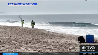 'Wildlife Is Dying': 126,000-Gallon Oil Spill Near Huntington Beach Impacting Coastal Ecosystem