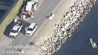 Aerial footage shows extent of oil spill damage on California beaches