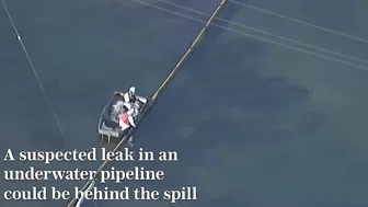 Aerial footage shows extent of oil spill damage on California beaches