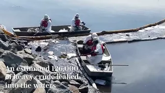 Aerial footage shows extent of oil spill damage on California beaches