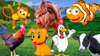 Compilation of animal moments part 4 - Dog, horse, cow, chicken, fish, monkey