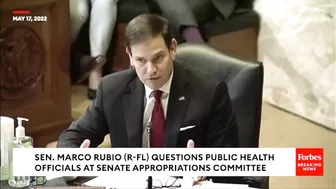 'I Don't Understand...': Rubio Grills Fauci On COVID-19 Air Travel Policies, Title 42