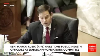 'I Don't Understand...': Rubio Grills Fauci On COVID-19 Air Travel Policies, Title 42